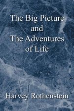 Big Picture and the Adventures of Life