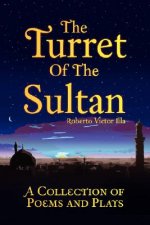 Turret Of The Sultan