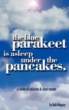 Blue Parakeet is Asleep Under The Pancakes