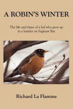 Robin's Winter