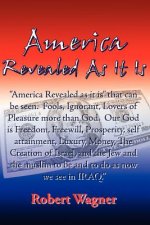 America Revealed As It Is