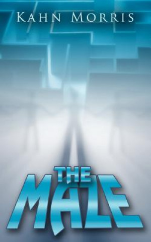 Maze