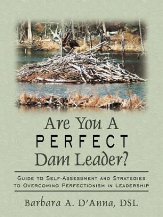 Are You A Perfect Dam Leader?