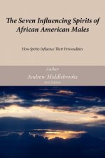 Seven Influencing Spirits of African American Males