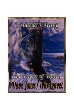 Soldier's Story