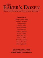 Baker's Dozen