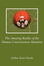 Amazing Reality of the Human Consciousness Situation