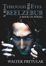 Through The Eyes of a Beelzebub