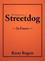 Adventures of Streetdog