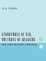 Structures of Sin, Cultures of Meaning