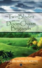 TwinBlades and the DoomChasm Brigands