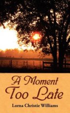 Moment Too Late