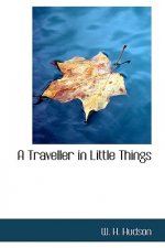 Traveller in Little Things