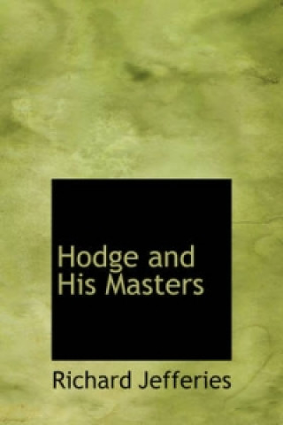 Hodge and His Masters