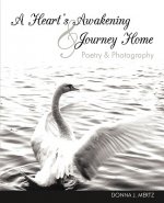 Heart's Awakening & Journey Home