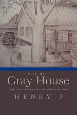 Big Gray House