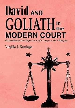 David and Goliath in the Modern Court