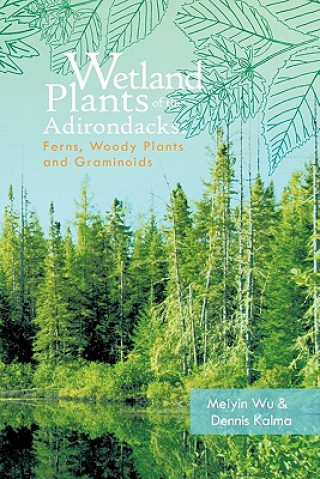 Wetland Plants of the Adirondacks