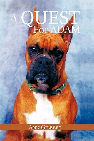 Quest for Adam