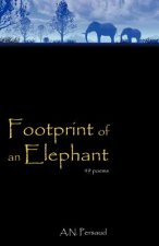 Footprint of an Elephant