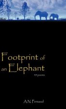 Footprint of an Elephant