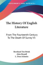 The History Of English Literature: From The Fourteenth Century To The Death Of Surrey V3