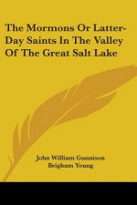 Mormons Or Latter-Day Saints In The Valley Of The Great Salt Lake