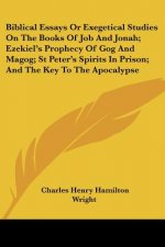Biblical Essays Or Exegetical Studies On The Books Of Job And Jonah; Ezekiel's Prophecy Of Gog And Magog; St Peter's Spirits In Prison; And The Key To