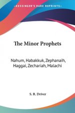 The Minor Prophets: Nahum, Habakkuk, Zephanaih, Haggai, Zechariah, Malachi