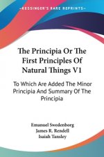 The Principia Or The First Principles Of Natural Things V1: To Which Are Added The Minor Principia And Summary Of The Principia