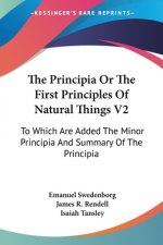 The Principia Or The First Principles Of Natural Things V2: To Which Are Added The Minor Principia And Summary Of The Principia