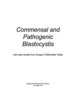 Commensal and Pathogenic Blastocystis