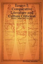 Essays I: Comparative Literature and Culture Criticism: France, Africa and America