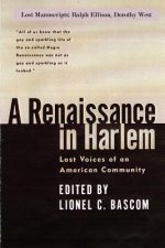 Renaissance in Harlem