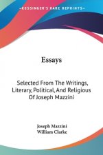 Essays: Selected From The Writings, Literary, Political, And Religious Of Joseph Mazzini
