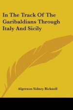 In The Track Of The Garibaldians Through Italy And Sicily