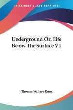 Underground Or, Life Below The Surface V1
