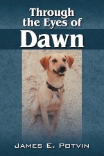Through the Eyes of Dawn