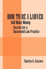 How to be a Lawyer