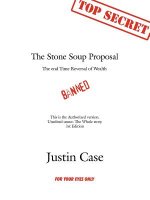 Stone Soup Proposal