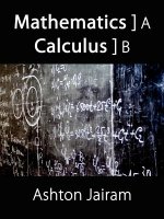 Mathematics Calculus