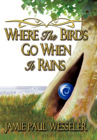 Where The Birds Go When It Rains
