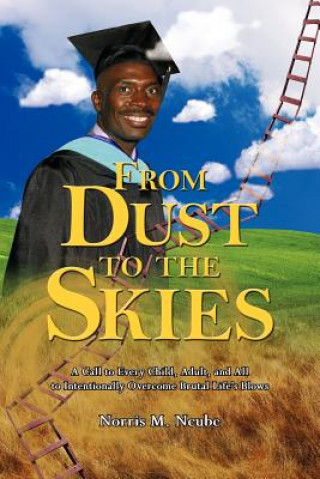 From Dust to the Skies