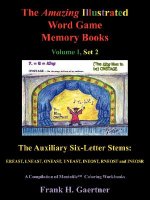 Amazing Illustrated Word Game Memory Books Vol I, Set 2