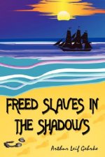 Freed Slaves in the Shadows