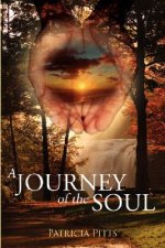 Journey of the Soul