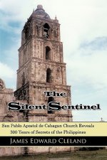 Silent Sentinel