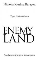 Enemy Land