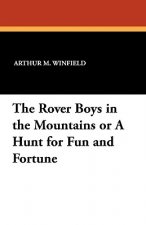 Rover Boys in the Mountains or a Hunt for Fun and Fortune