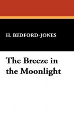 Breeze in the Moonlight